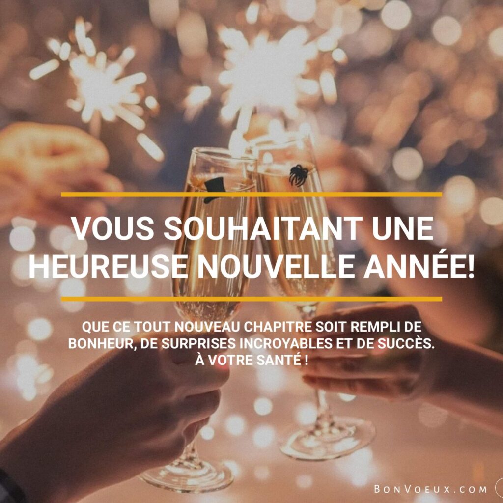 Meilleurs Voeux De Bonne Année
