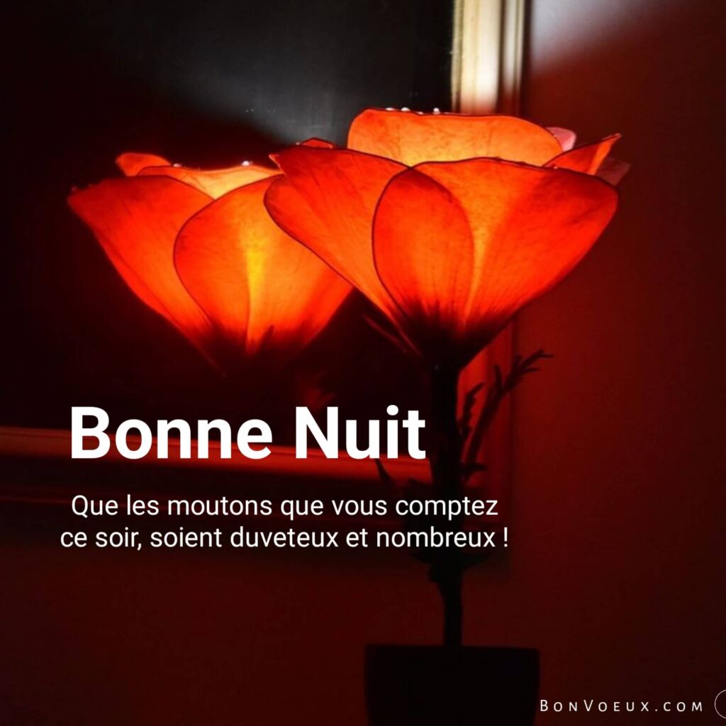 Souhaits De Bonne Nuit
