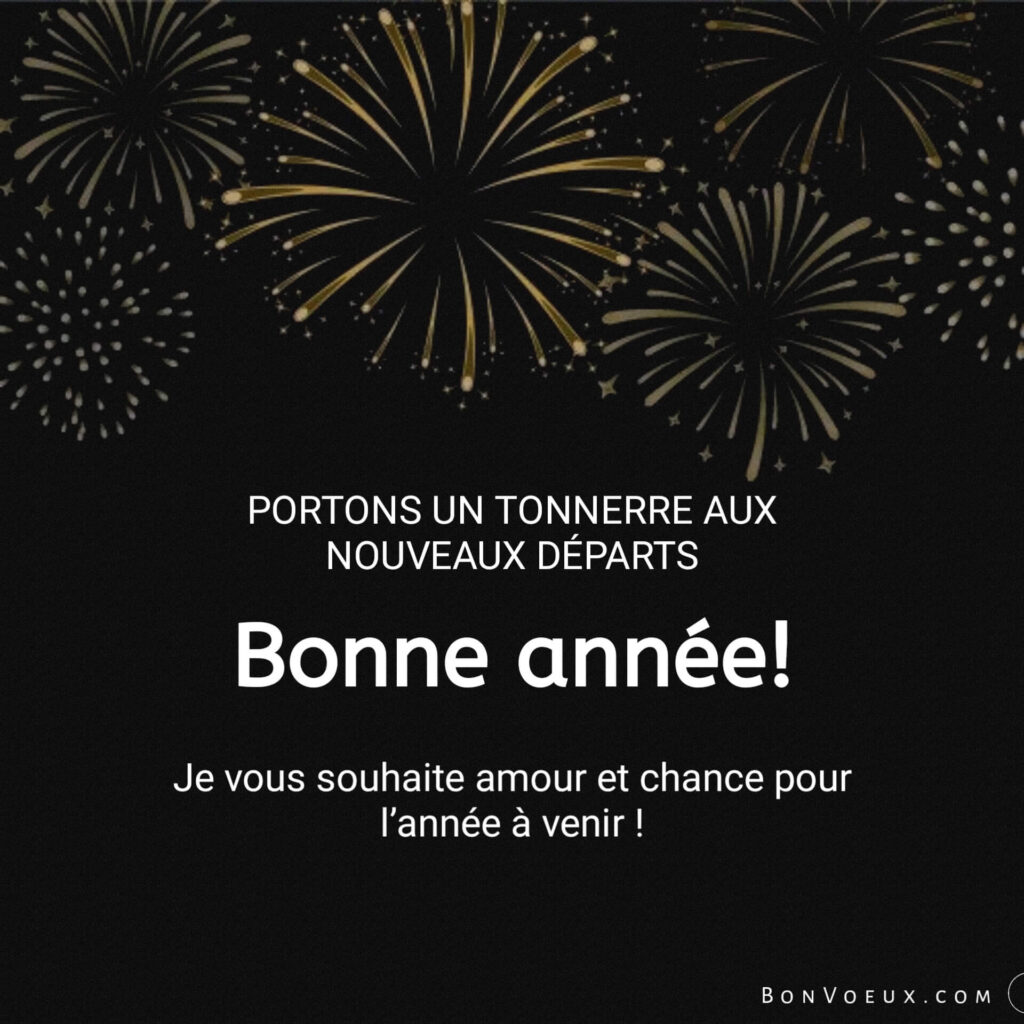 Vœux De Bonne Année 2025
