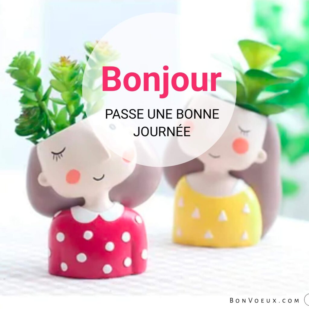 Bonjour Voeux Pour la Vie